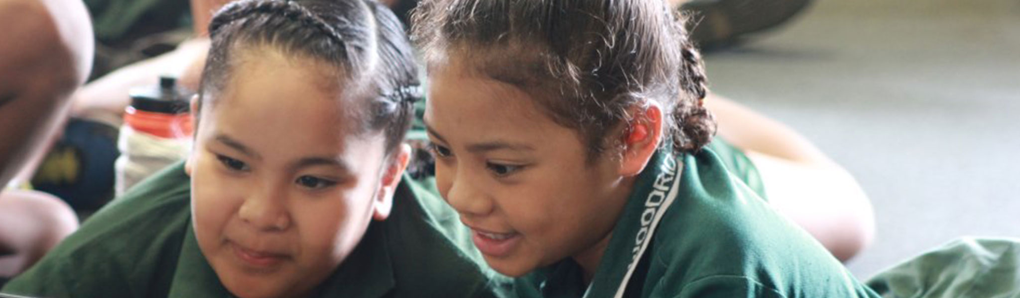 Woodridge North State School